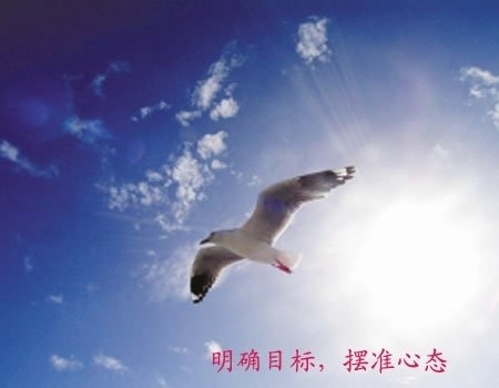 大學(xué)生另類創(chuàng)業(yè)盤點(diǎn)：刷馬桶刷出個千萬富翁