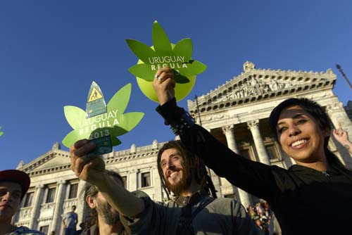 烏拉圭成全球首個大麻產業合法化國家