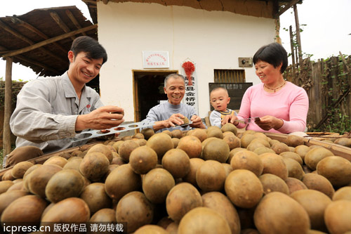 中國羅漢果變身美國汽水產業大救星？