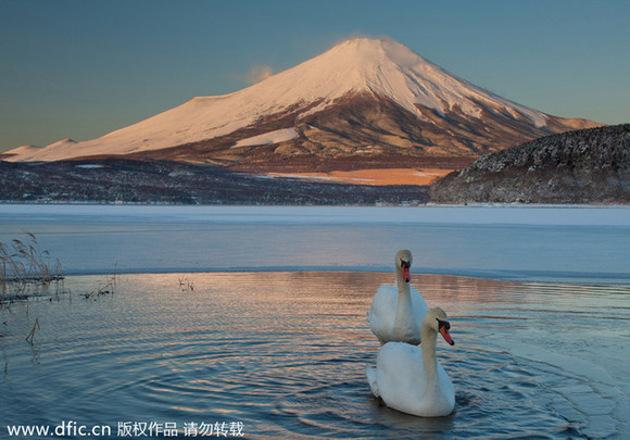 中國(guó)人最?lèi)?ài)去哪些國(guó)家買(mǎi)房？