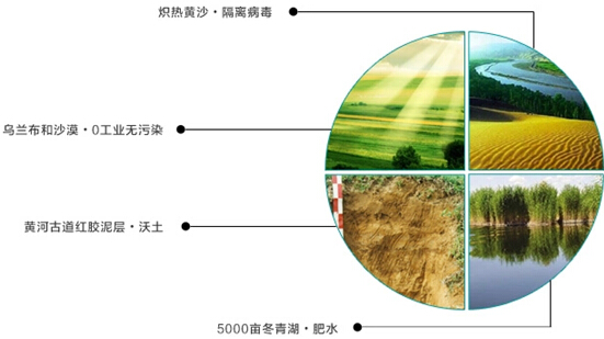 2014圣牧有機(jī)之旅•純凈啟程——見(jiàn)證「全程有機(jī)」純真奇跡