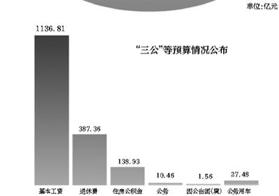 中央財政預算表今年首次曬出“工資福利”