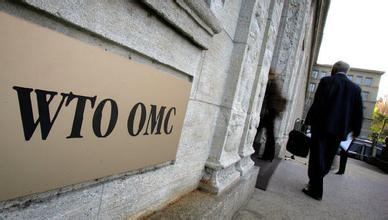 中國WTO“保護期”到期？解讀“保護期”的真正含義