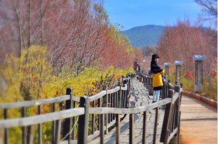 逸景營地旅游眾籌社群化新模式 消費升級再添新動力