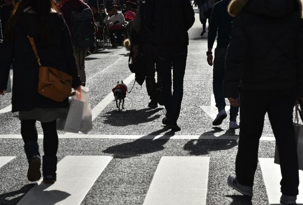 股市暴跌、日元升值致日本“安倍經濟學”陷危機