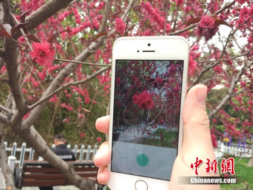 人工智能還能這么玩！識花神器讓你三秒告別“花癡”