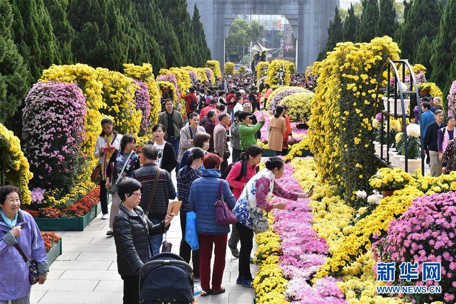 廣州：燈海花城向世界展示“財富美”